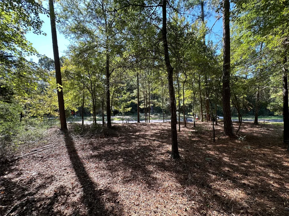 Holly Trail Holly Lake Ranch, TX 75765