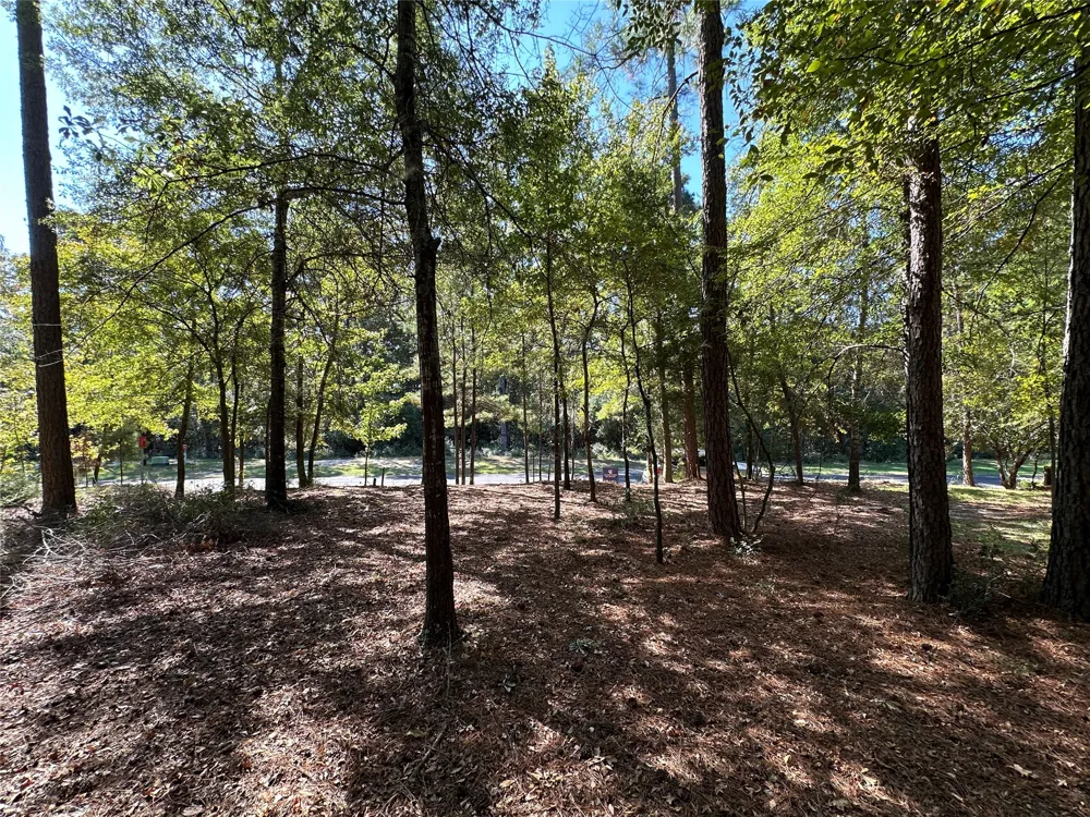Holly Trail Holly Lake Ranch, TX 75765