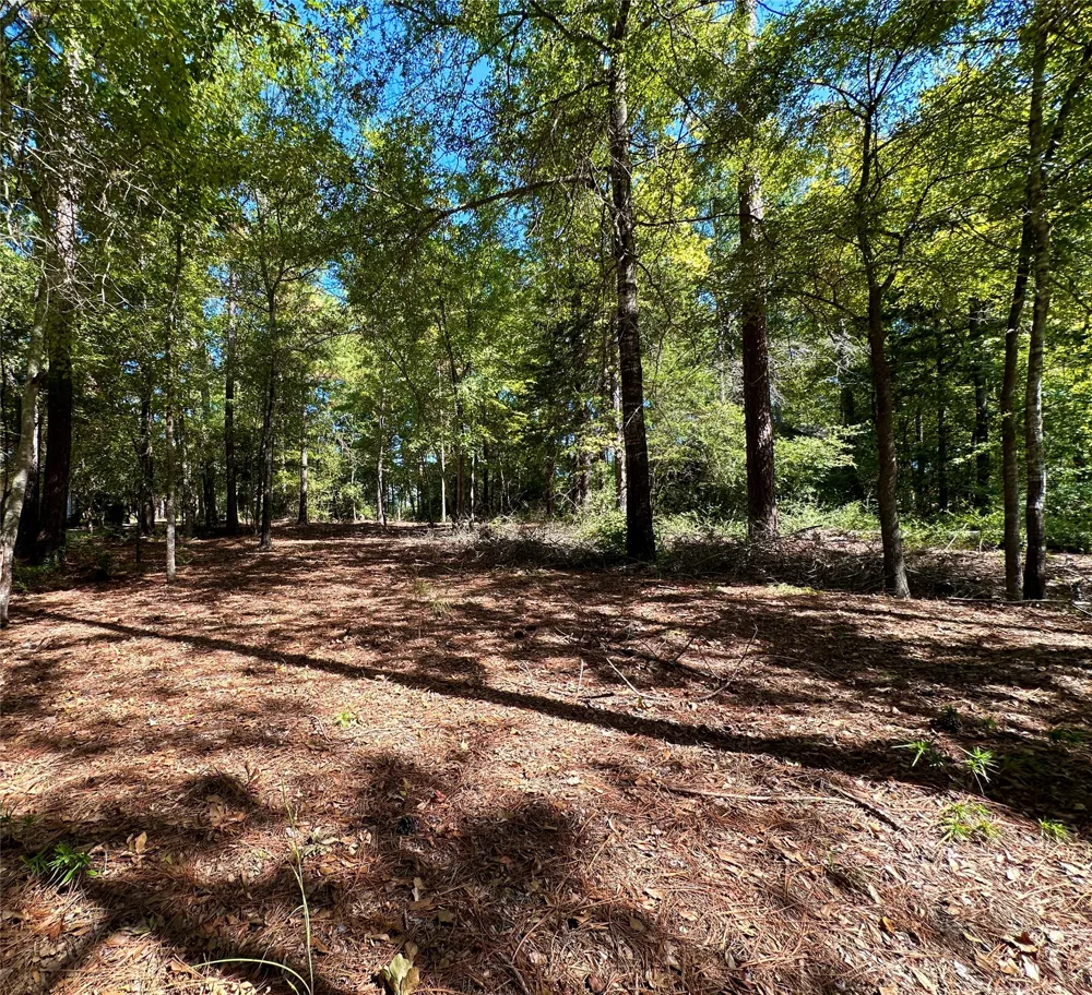Holly Trail Holly Lake Ranch, TX 75765