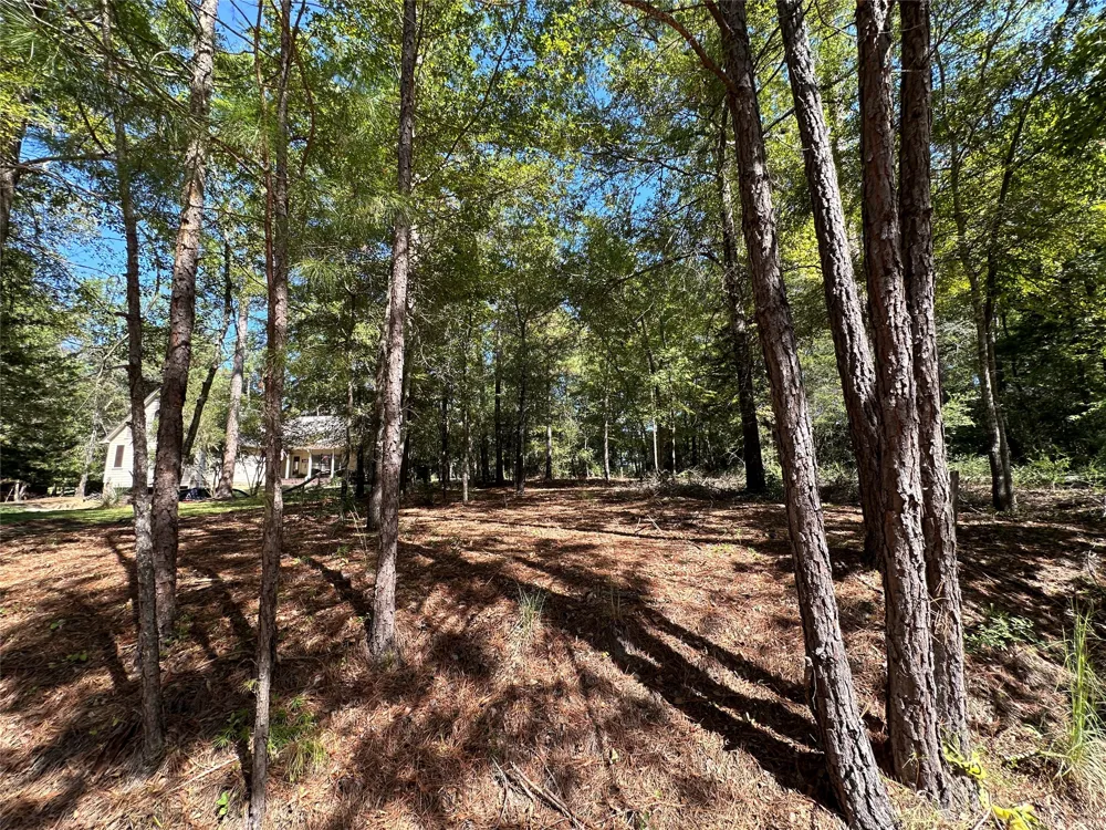 Holly Trail Holly Lake Ranch, TX 75765
