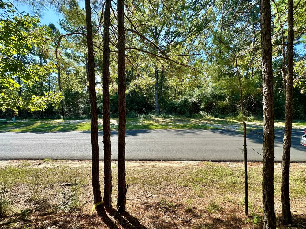 Holly Trail Holly Lake Ranch, TX 75765