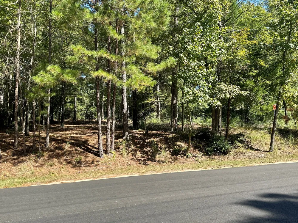 Holly Trail Holly Lake Ranch, TX 75765