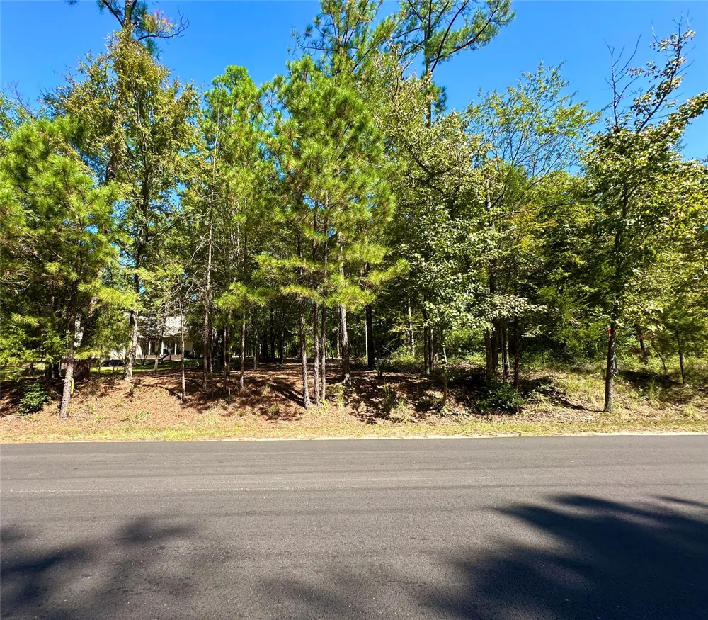 Holly Trail Holly Lake Ranch, TX 75765