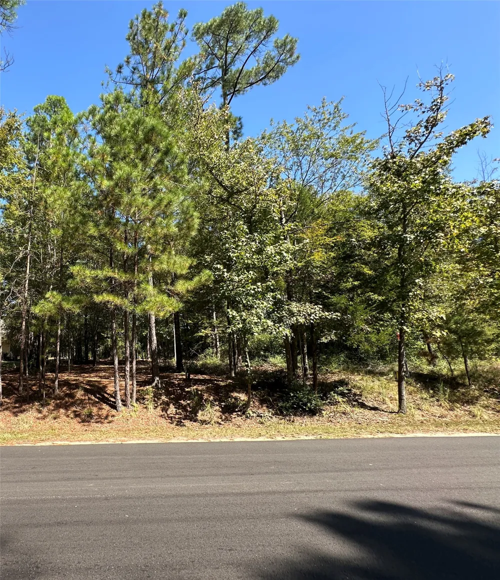 Holly Trail Holly Lake Ranch, TX 75765