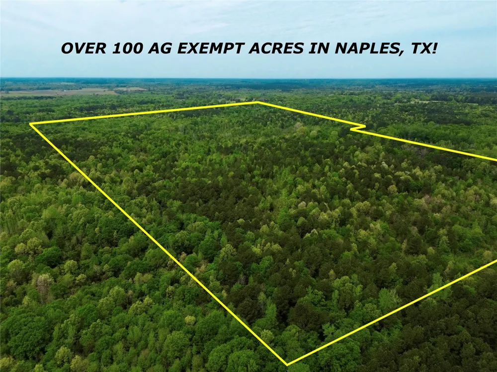 County Road 2742 Naples, TX 75568