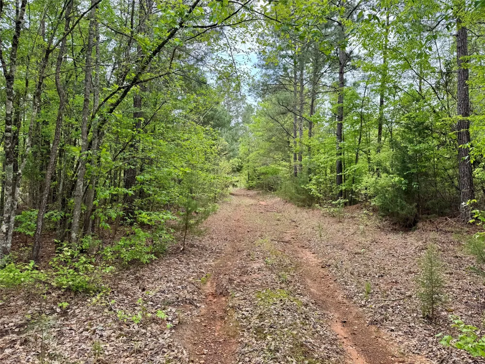 County Road 2742 Naples, TX 75568