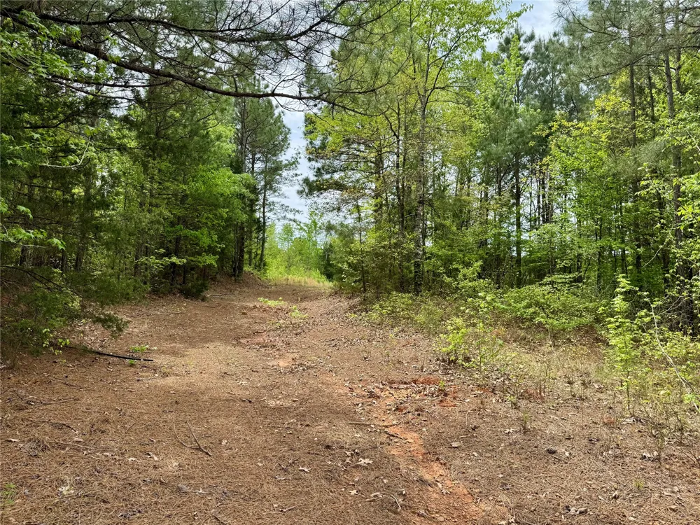 County Road 2742 Naples, TX 75568