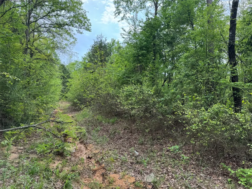 County Road 2742 Naples, TX 75568