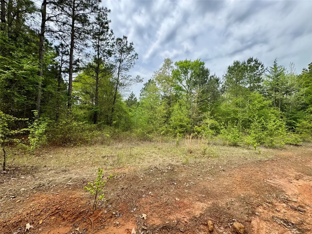 County Road 2742 Naples, TX 75568