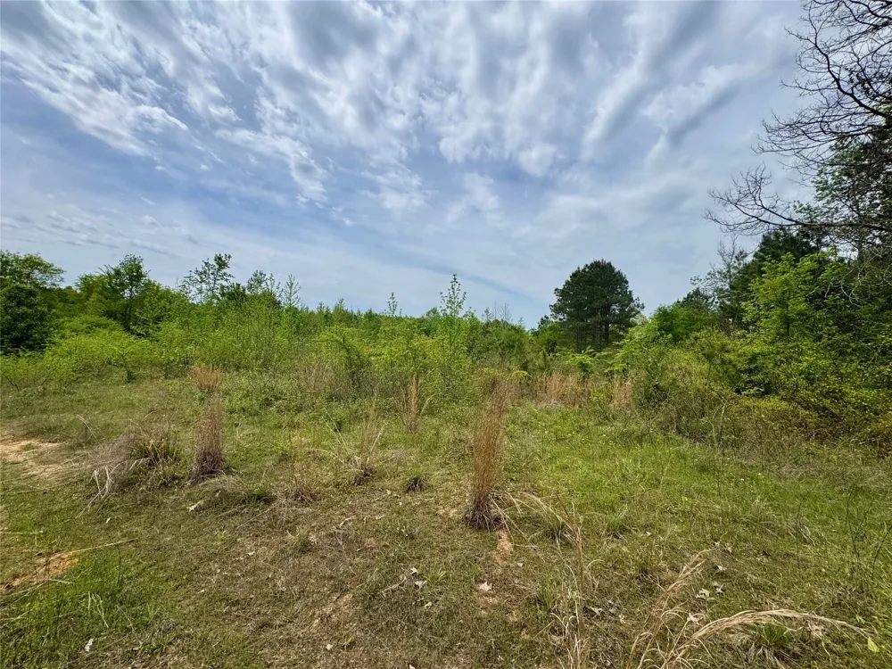 County Road 2742 Naples, TX 75568