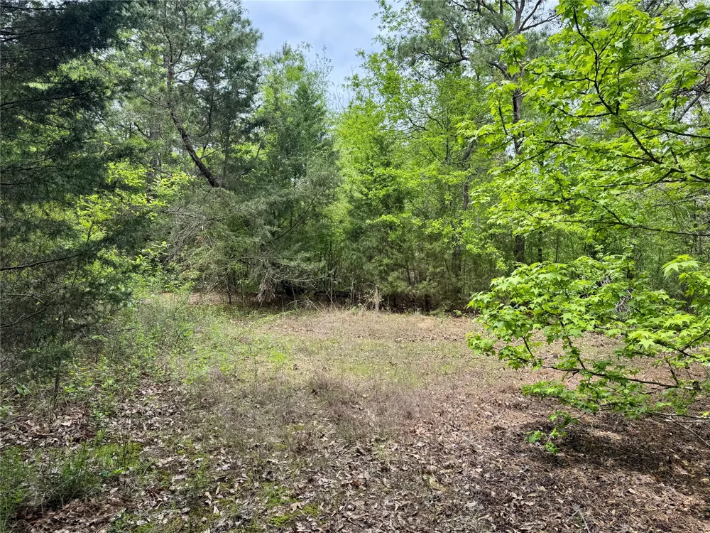 County Road 2742 Naples, TX 75568