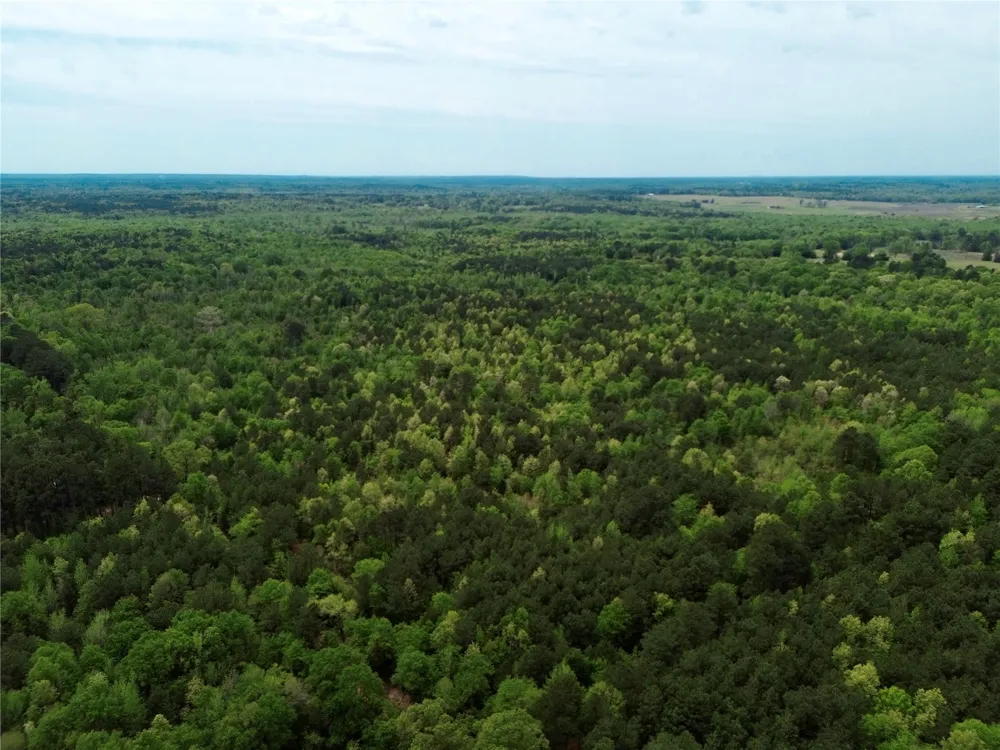 County Road 2742 Naples, TX 75568