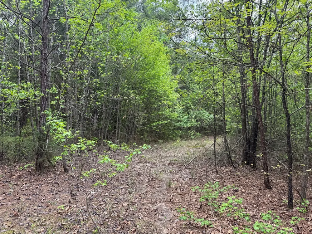 County Road 2742 Naples, TX 75568