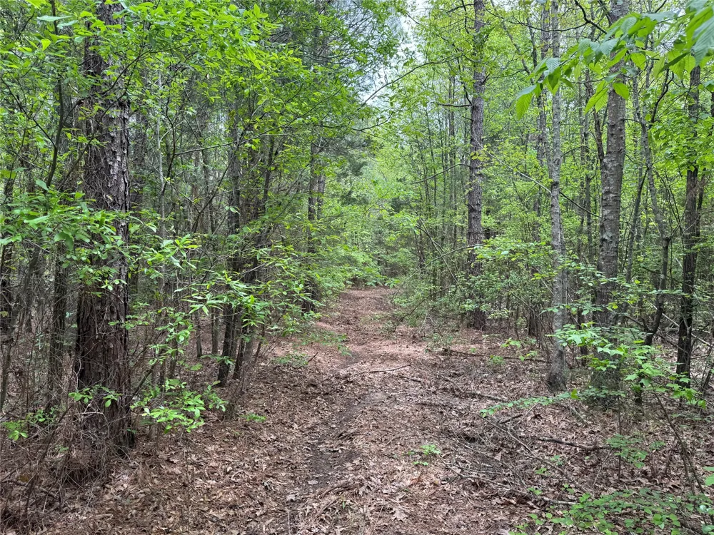 County Road 2742 Naples, TX 75568