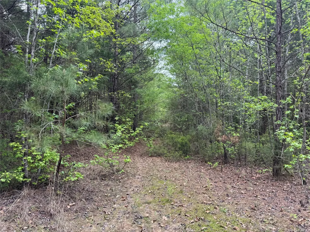 County Road 2742 Naples, TX 75568