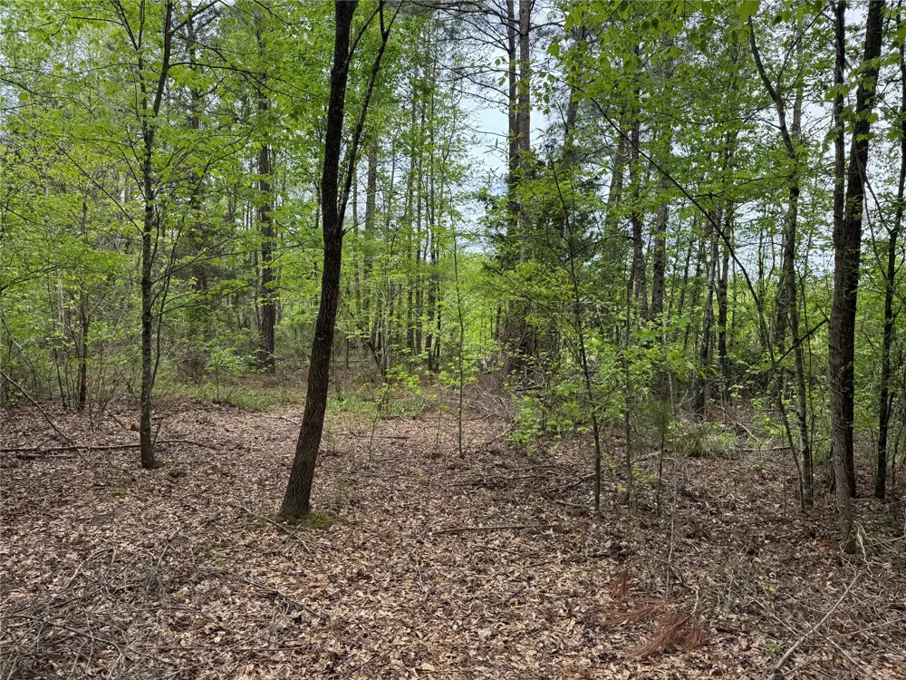 County Road 2742 Naples, TX 75568