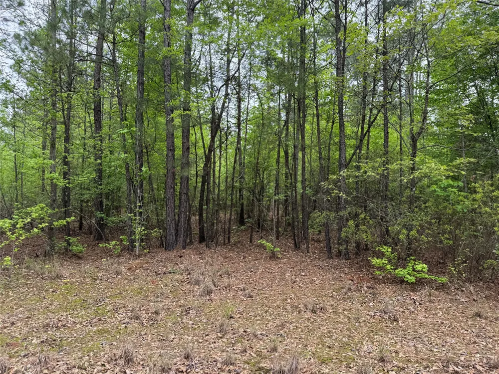 County Road 2742 Naples, TX 75568