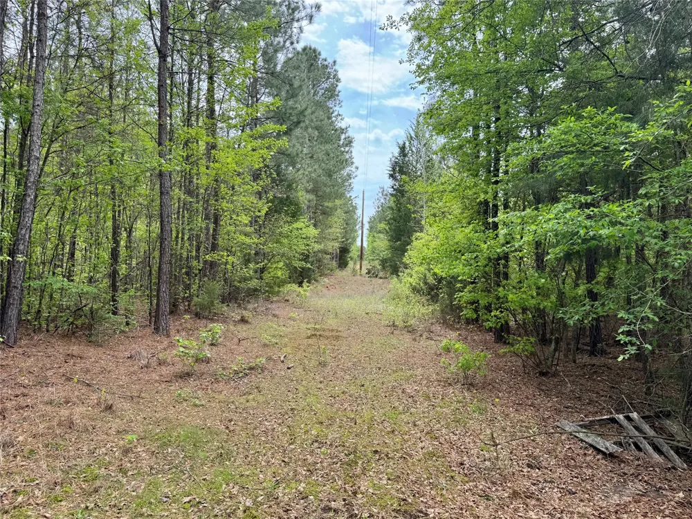 County Road 2742 Naples, TX 75568