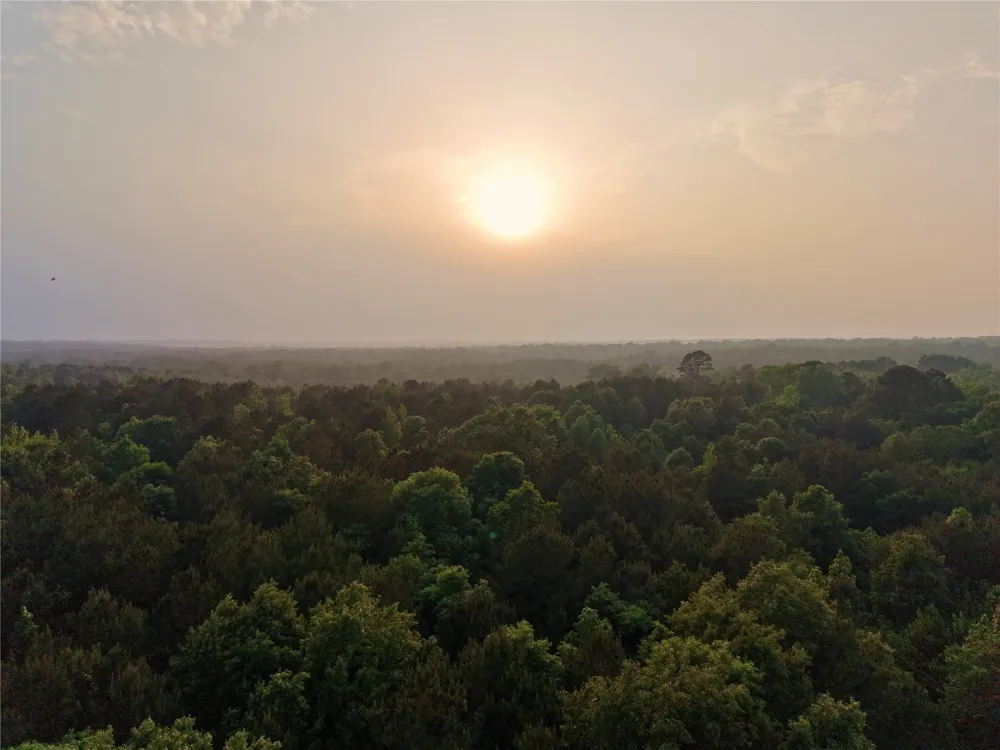 County Road 2742 Naples, TX 75568