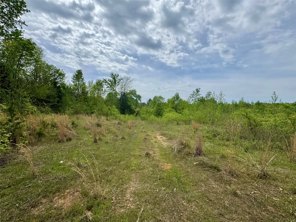 County Road 2742 Naples, TX 75568