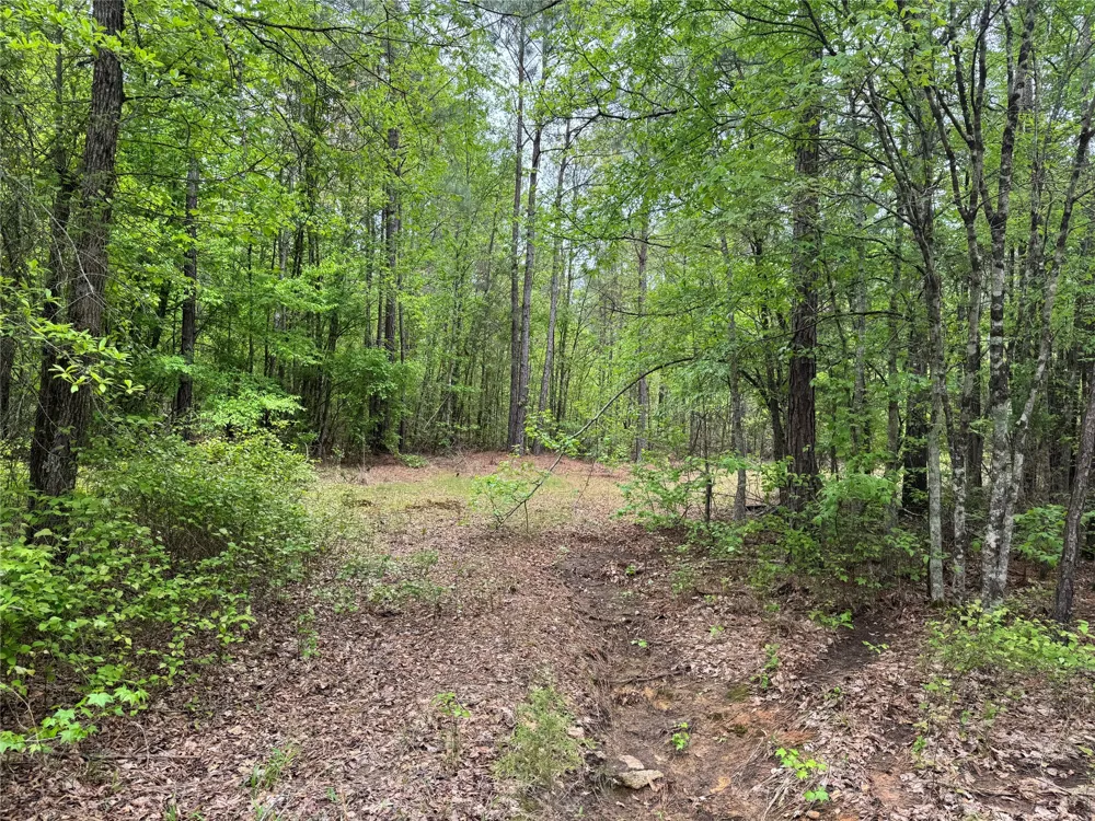 County Road 2742 Naples, TX 75568