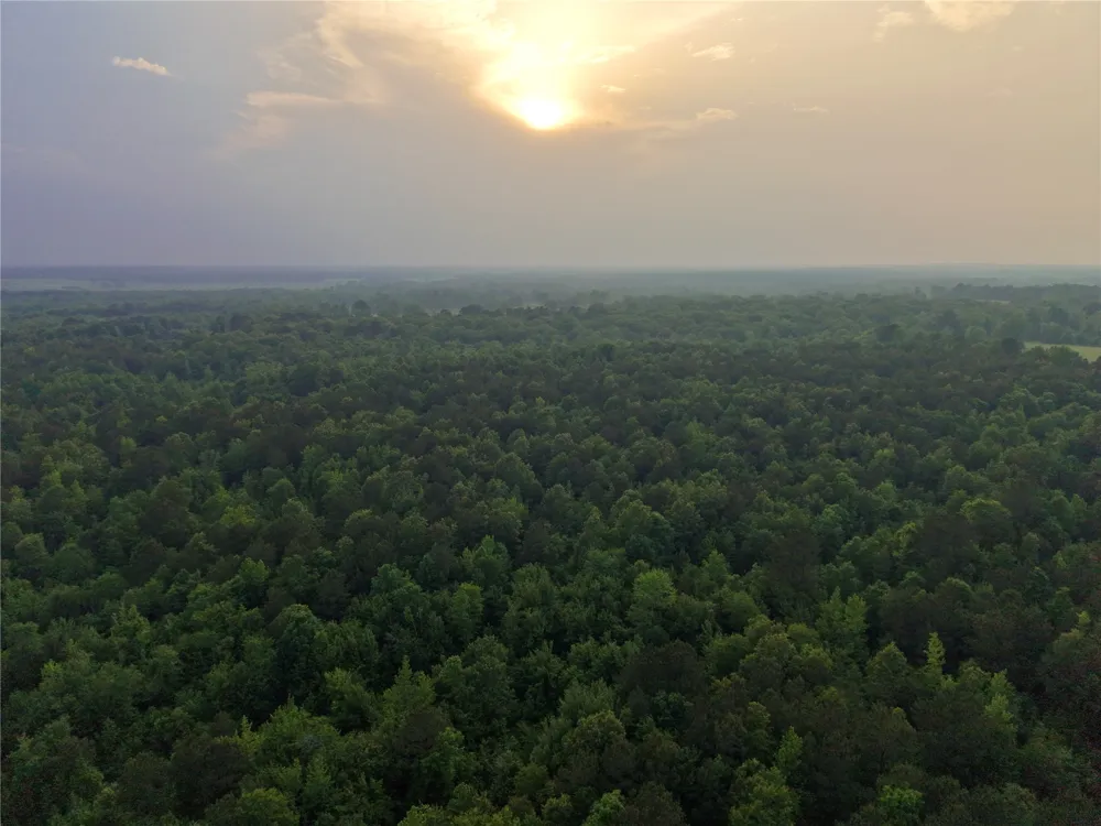 County Road 2742 Naples, TX 75568