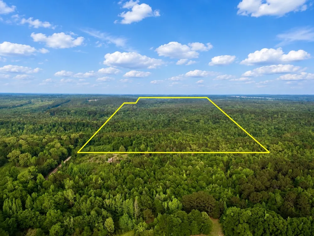 County Road 2742 Naples, TX 75568