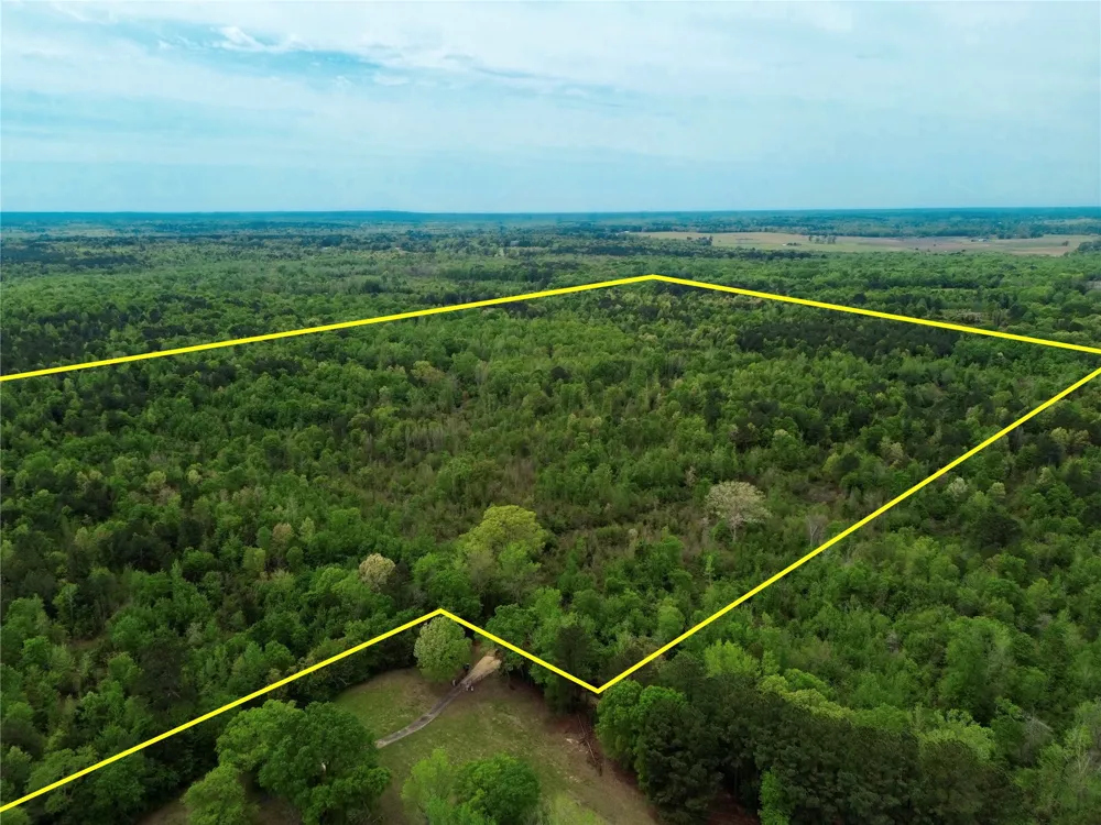 County Road 2742 Naples, TX 75568