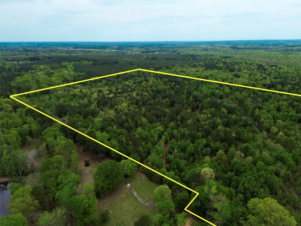County Road 2742 Naples, TX 75568
