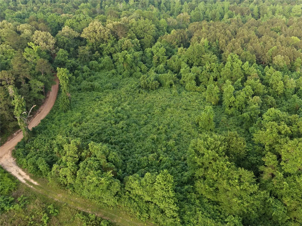 County Road 2742 Naples, TX 75568