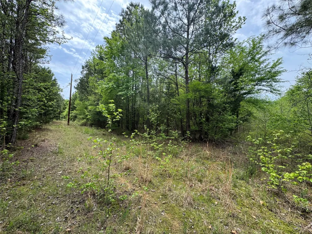 County Road 2742 Naples, TX 75568