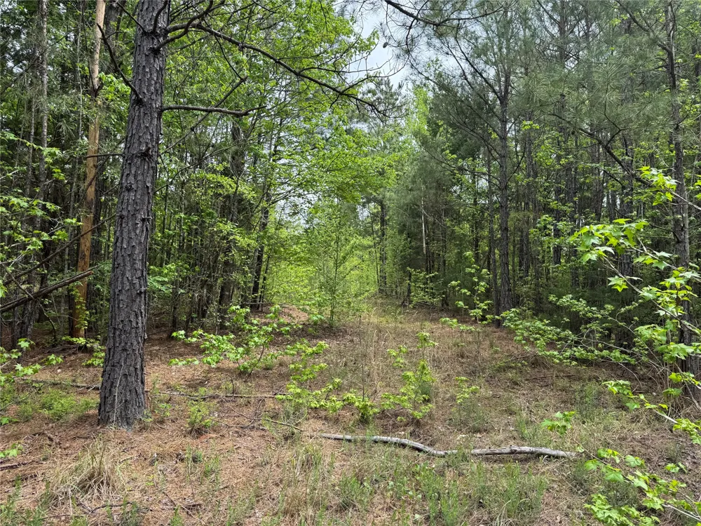 County Road 2742 Naples, TX 75568