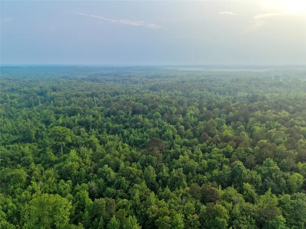 County Road 2742 Naples, TX 75568
