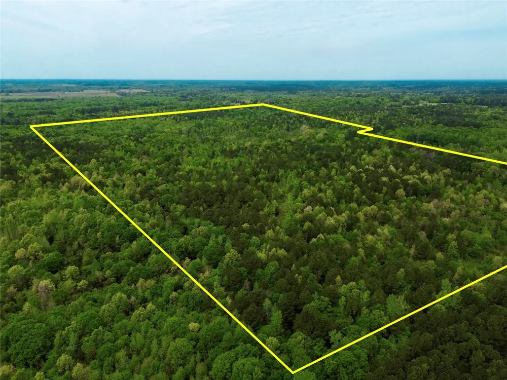 County Road 2742 Naples, TX 75568