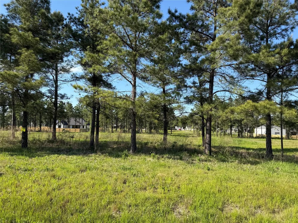 112 Faith Plantation Drive #39 Princeton, LA 71067