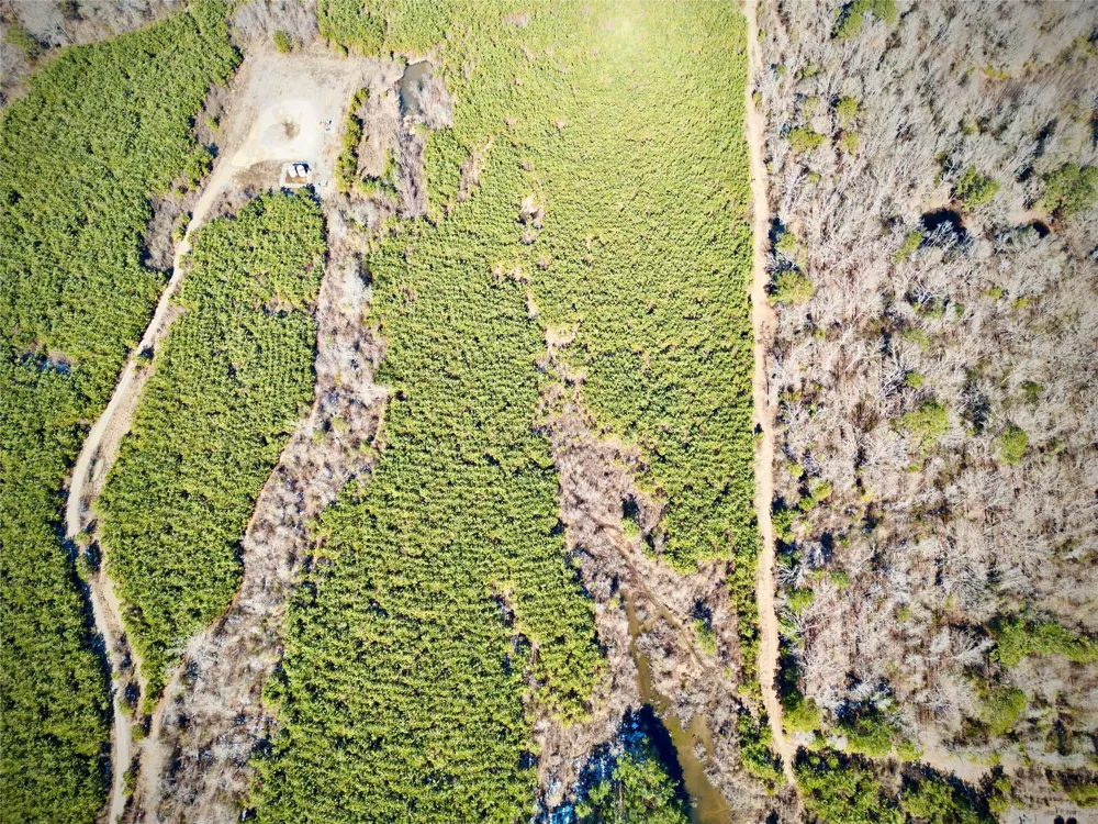 Stonewall Frierson Road Frierson, LA 71027