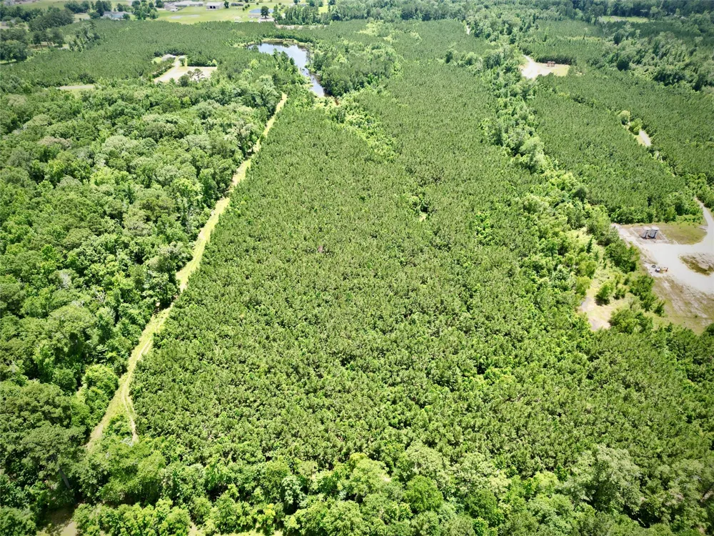 Stonewall Frierson Road Frierson, LA 71027