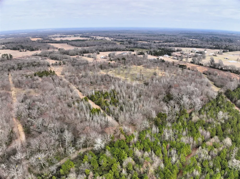 County Road 1450 Mt Pleasant, TX 75455