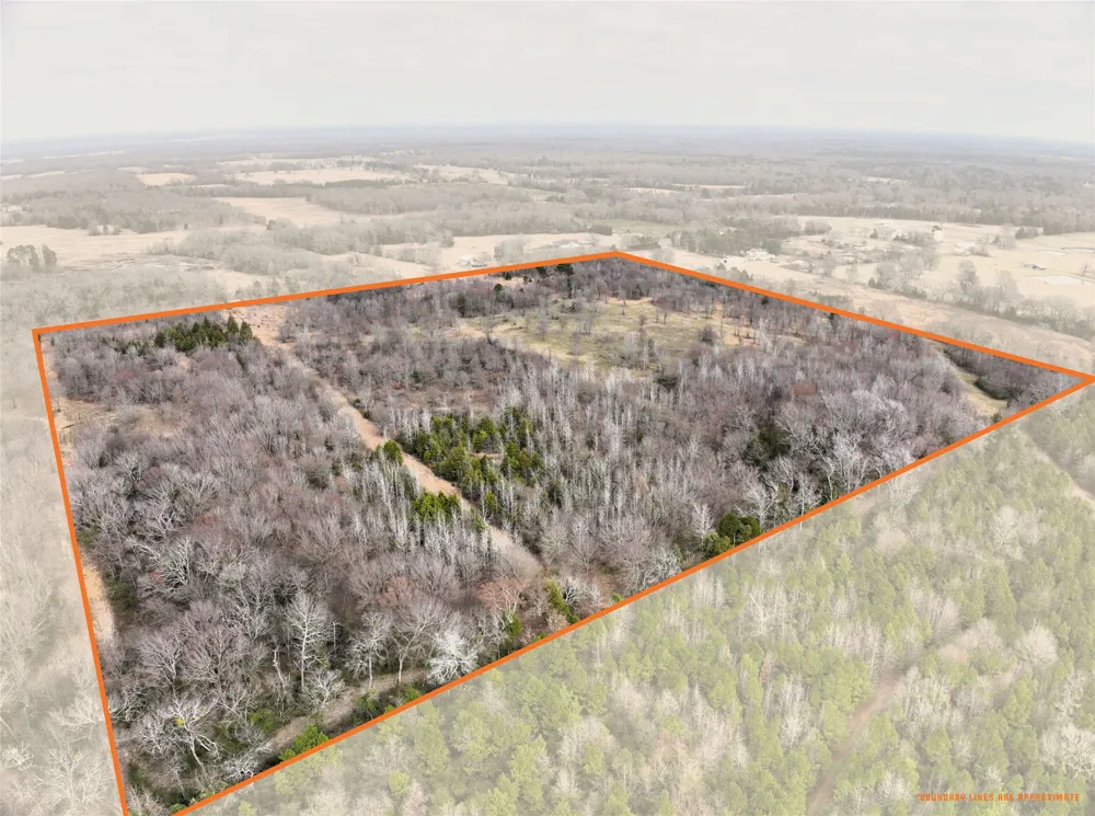 County Road 1450 Mt Pleasant, TX 75455