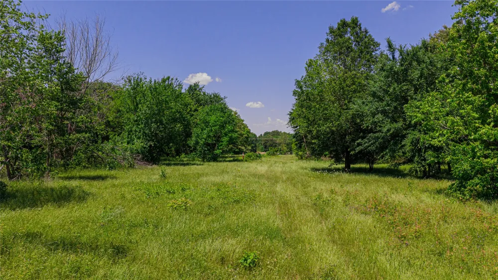 County Road 1450 Mt Pleasant, TX 75455