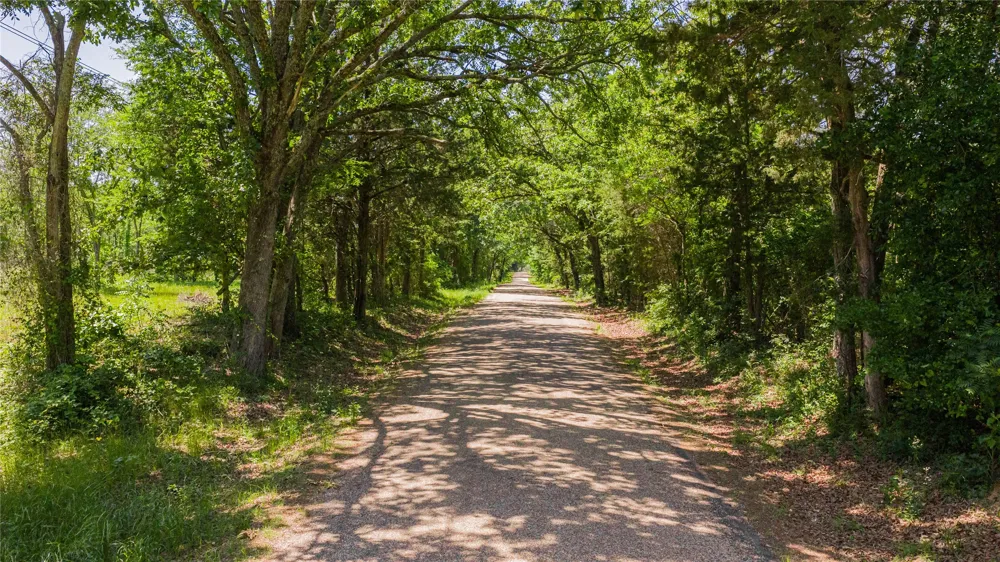 County Road 1450 Mt Pleasant, TX 75455