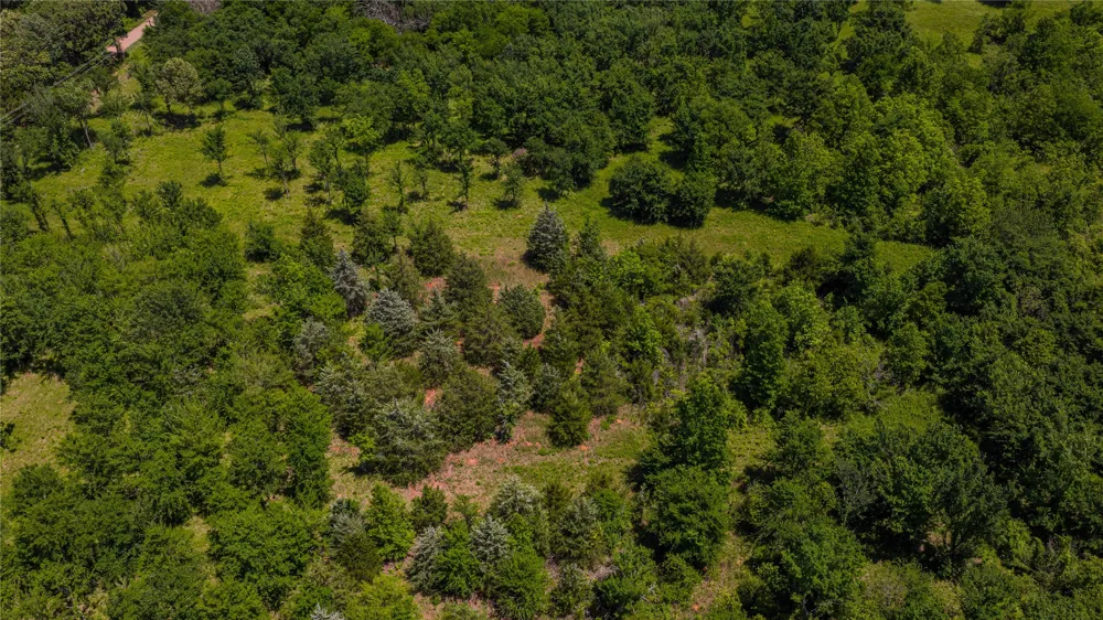 County Road 1450 Mt Pleasant, TX 75455