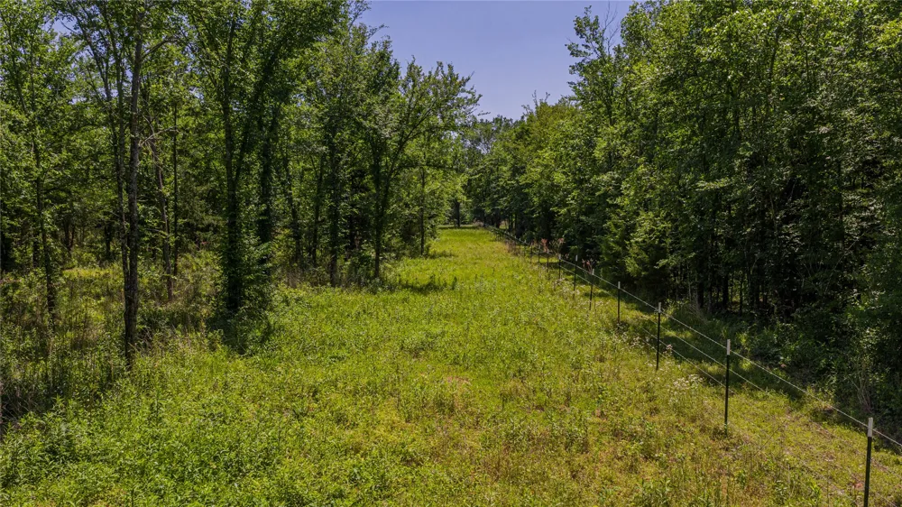County Road 1450 Mt Pleasant, TX 75455