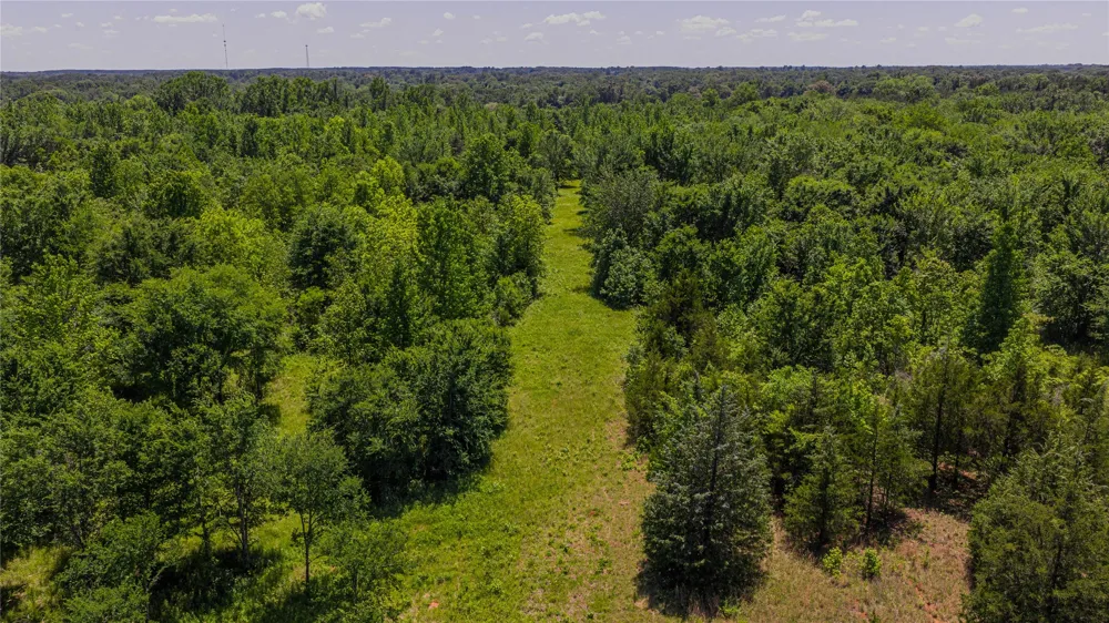 County Road 1450 Mt Pleasant, TX 75455