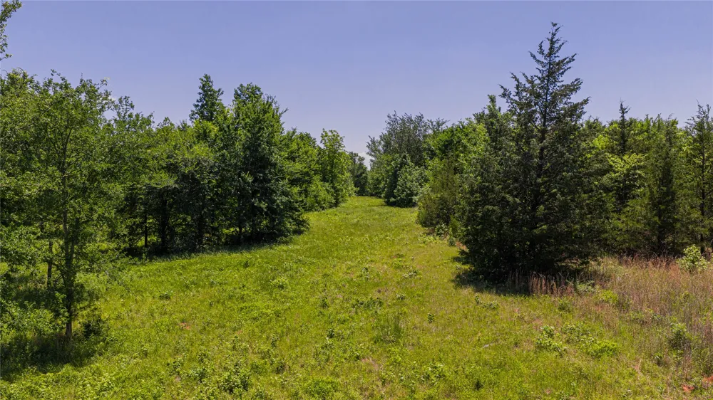 County Road 1450 Mt Pleasant, TX 75455
