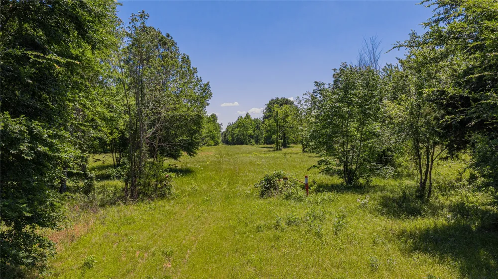 County Road 1450 Mt Pleasant, TX 75455