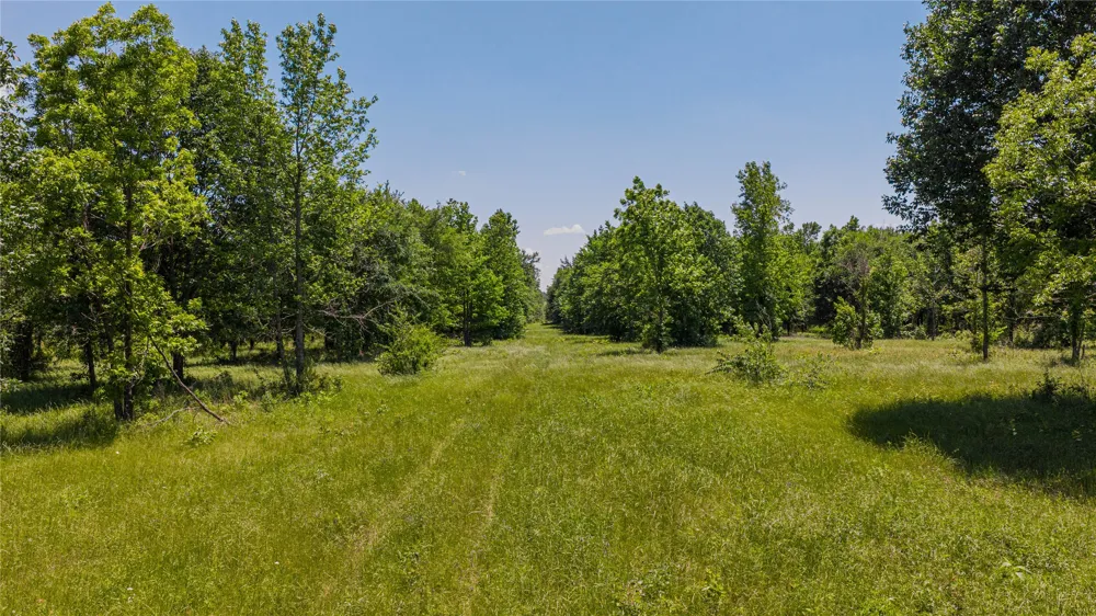 County Road 1450 Mt Pleasant, TX 75455