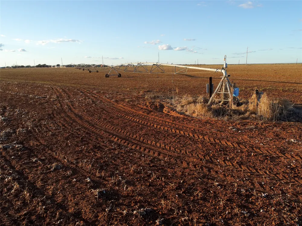 FM 2365 Knox City, TX 79529