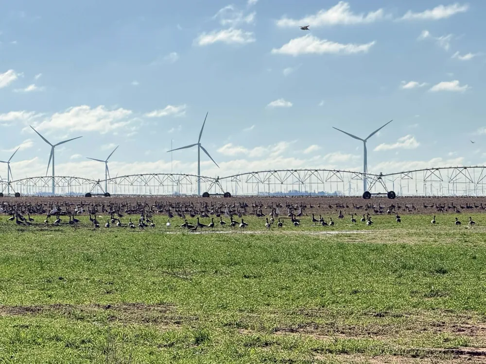 FM 2365 Knox City, TX 79529