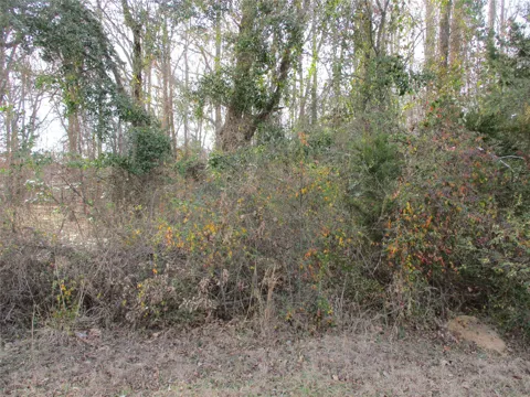 Wood County Road 2958